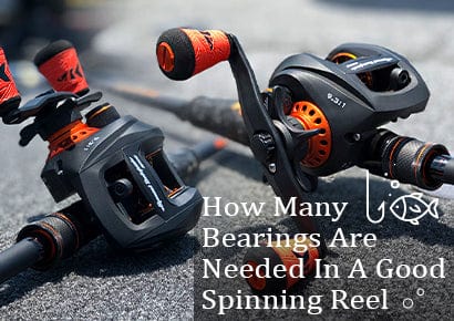 How Many Bearings Are Needed In A Good Spinning Reel