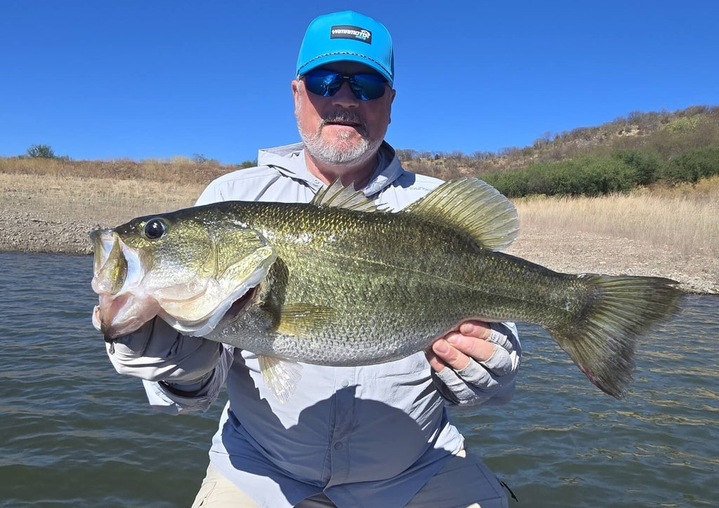 Top 4 Fishing Reels for Trophy Bass: Lake Baccarac Winter 2026 Review