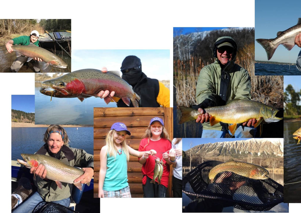 How to Find the Difference Between Trout Species