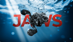 THE JAWS